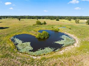 TBD Private Road 607 - Photo 5