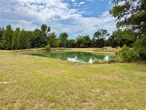14372 Farm Road 269 S - Photo 11