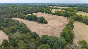 14372 Farm Road 269 S - Photo 29