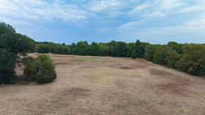 14372 Farm Road 269 S - Photo 8