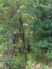 132 Chapperall Drive - Photo 3