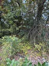 132 Chapperall Drive - Photo 6