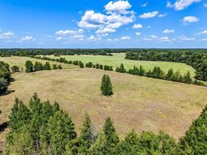 TBD County Road 2331 - Photo 1