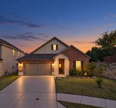 7337 Howling Coyote Lane - Photo 1