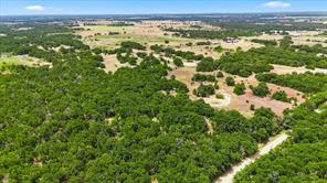 1150 DPS Tower Road Lot#50 - Photo 10