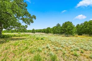 1150 DPS Tower Road Lot#50 - Photo 5
