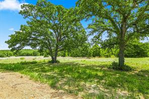 1150 DPS Tower Road Lot#50 - Photo 6