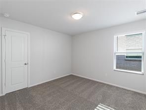 704 Rusty Spurs Place - Photo 12