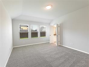 704 Rusty Spurs Place - Photo 13