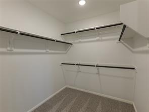 704 Rusty Spurs Place - Photo 15