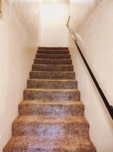 4623 Country Creek Drive - Photo 12