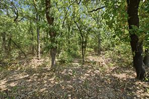374 Clark Lake Road - Photo 34