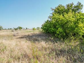 3966 Fm 2210 E - Photo 25