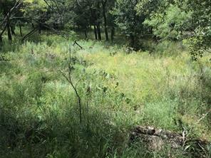 Lot 253 Cote D Azur Drive - Photo 6