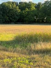 2561 County Road 279 - Photo 2