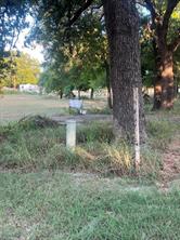 2561 County Road 279 - Photo 6