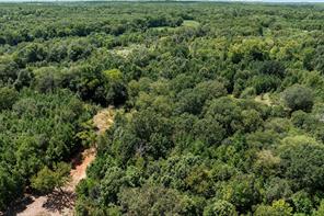 459 County Road 3303 - Photo 13