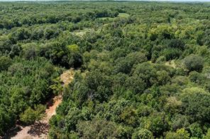 459 County Road 3303 - Photo 14