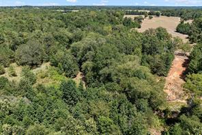 459 County Road 3303 - Photo 15