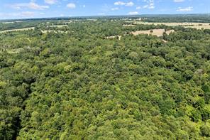 459 County Road 3303 - Photo 16
