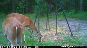 459 County Road 3303 - Photo 3