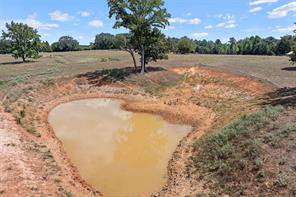 459 County Road 3303 - Photo 5