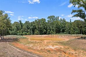459 County Road 3303 - Photo 6