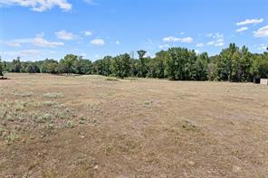 459 County Road 3303 - Photo 8