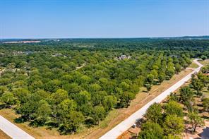 2531 Buckskin Drive - Photo 10