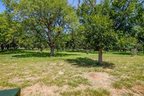 2531 Buckskin Drive - Photo 14