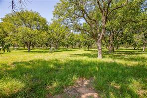 2531 Buckskin Drive - Photo 15