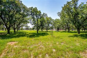 2531 Buckskin Drive - Photo 2