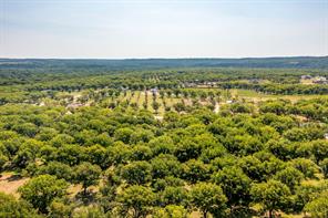 2531 Buckskin Drive - Photo 7