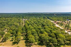 2531 Buckskin Drive - Photo 9