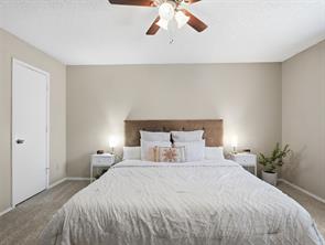 6206 Hott Springs Drive - Photo 12
