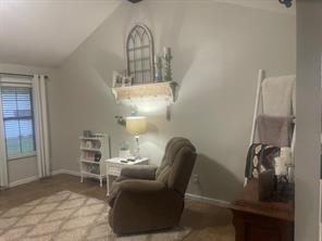 11524 Sunrise Street - Photo 7