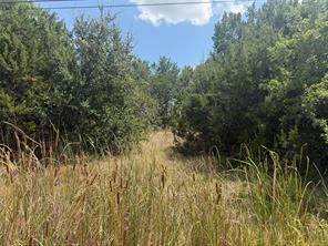 817 Pawnee Trail - Photo 1