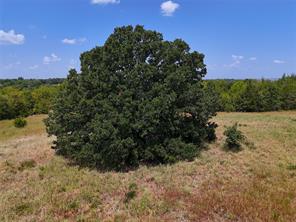 1600 CR 2765 - Photo 4