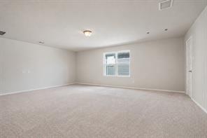 3219 Buffalo Creek Circle - Photo 19