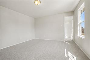 3219 Buffalo Creek Circle - Photo 21