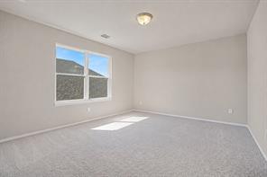 3219 Buffalo Creek Circle - Photo 22