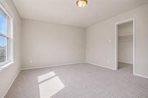 3219 Buffalo Creek Circle - Photo 26