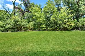 119 Breeders Drive - Photo 32