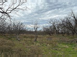 Tract 13 AC CR 105 - Photo 1