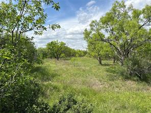 Tract 14 AC CR 105 - Photo 1
