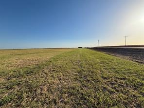 TBD FM 67 Highway - Photo 1