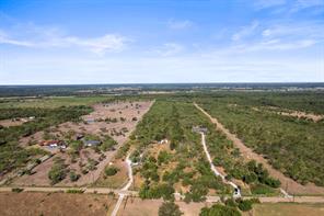 9798 County Road 146 - Photo 10