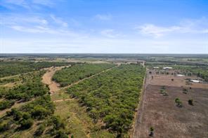 9798 County Road 146 - Photo 13