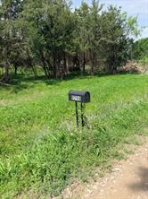 9798 County Road 146 - Photo 6