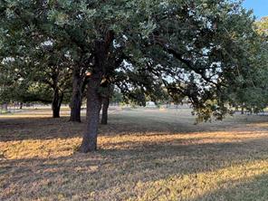 3749 Shelby Rd.-Tract 2 - Photo 12